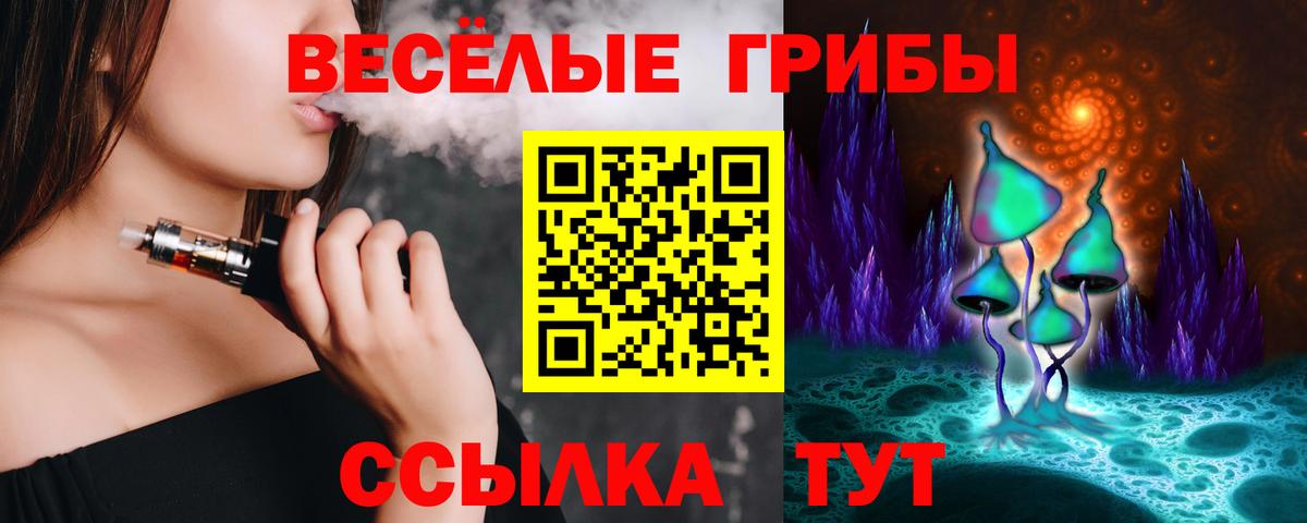 Галлюциногенные грибы прущие грибы  Вход с VPN  Псилоцибиновые грибы мицелий  Чернушка 