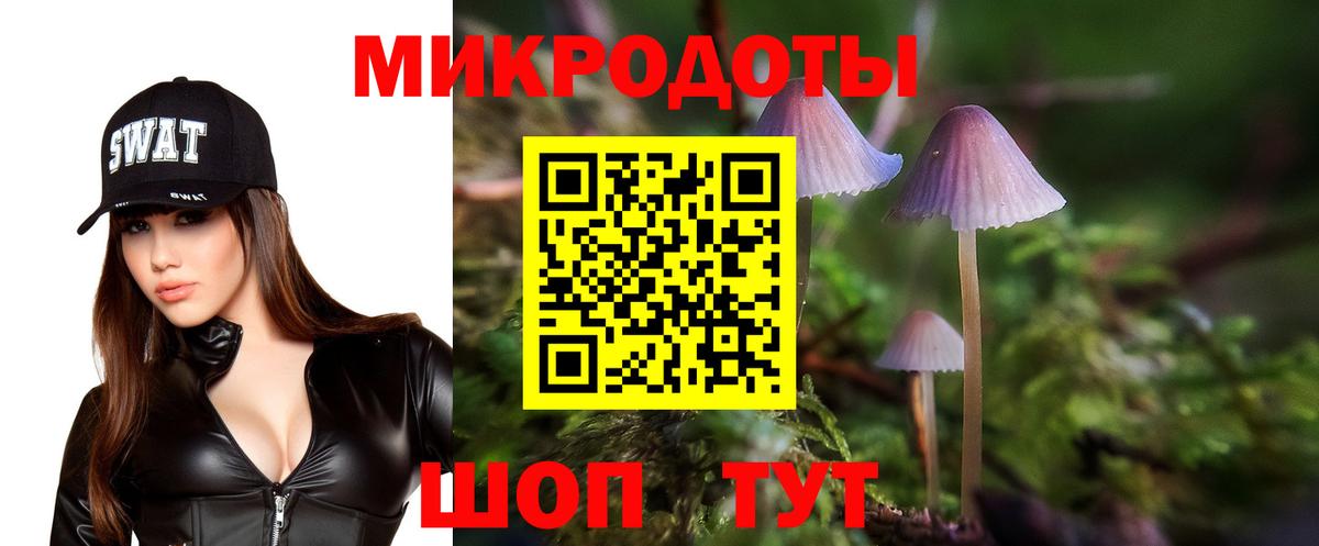 Псилоцибиновые грибы мухоморы Чернушка